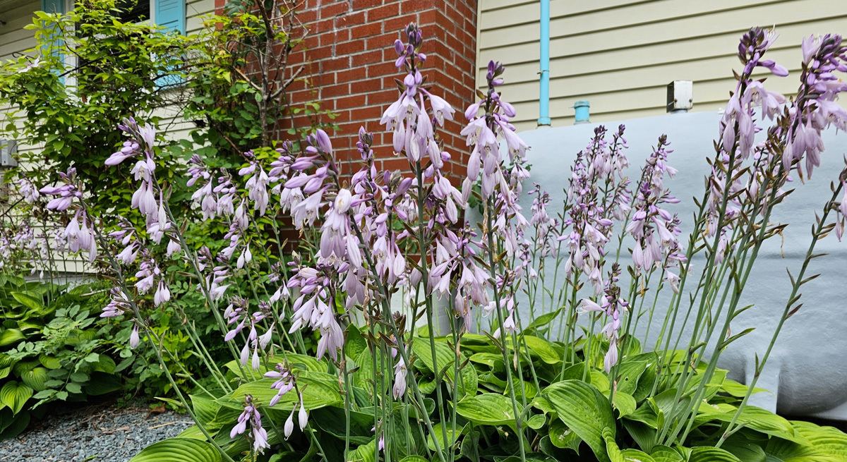 The ultimate guide to replacing your oil tank Oil Tank Change