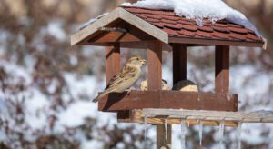 oil tanks winter months
